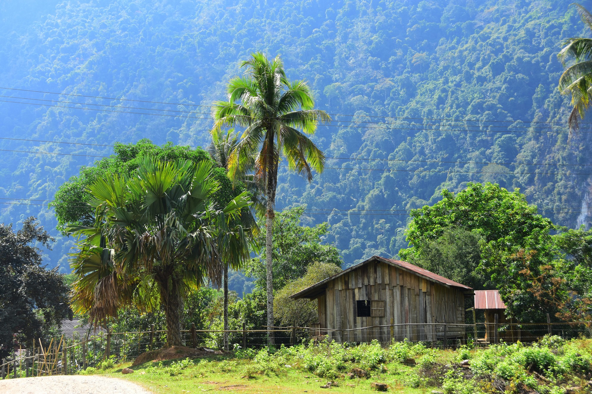 2017 01 laos (24)