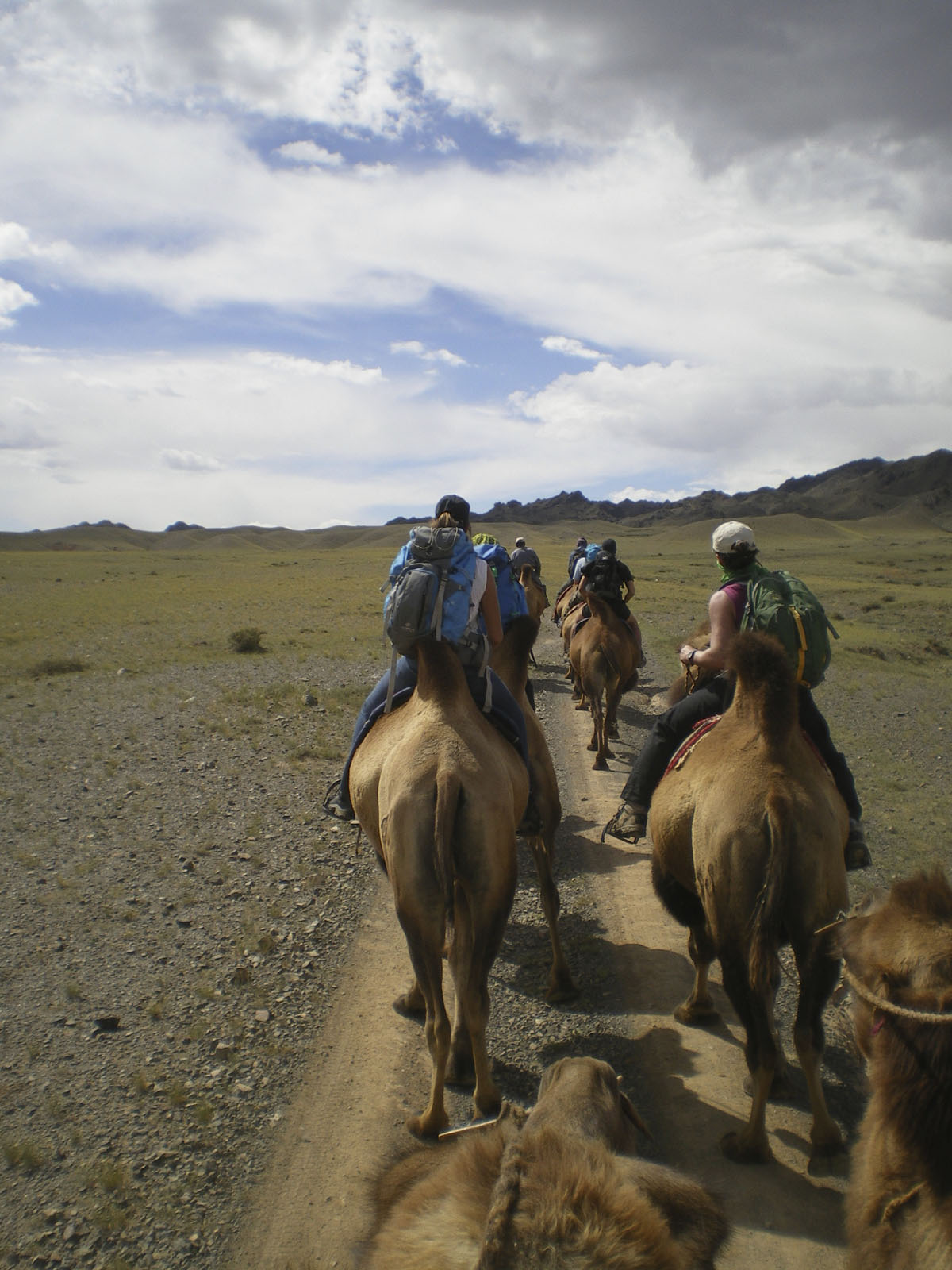 en Mongolie a dos de chameau